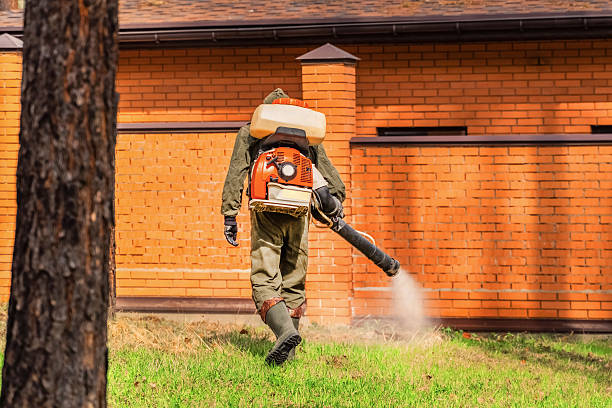 Trusted Bed Bug Control service in Warrenton, GA - Nex Pest Control